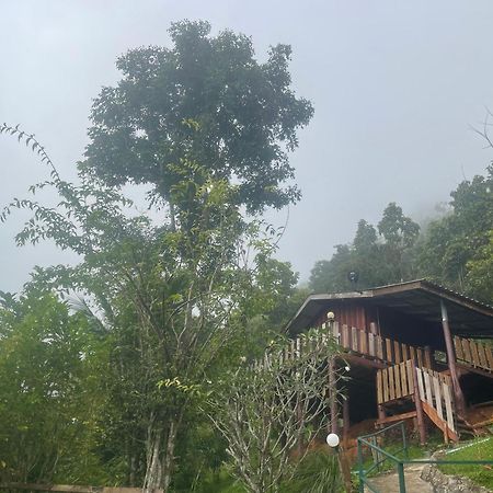 Forest Guesthouse Samoeng Exteriör bild